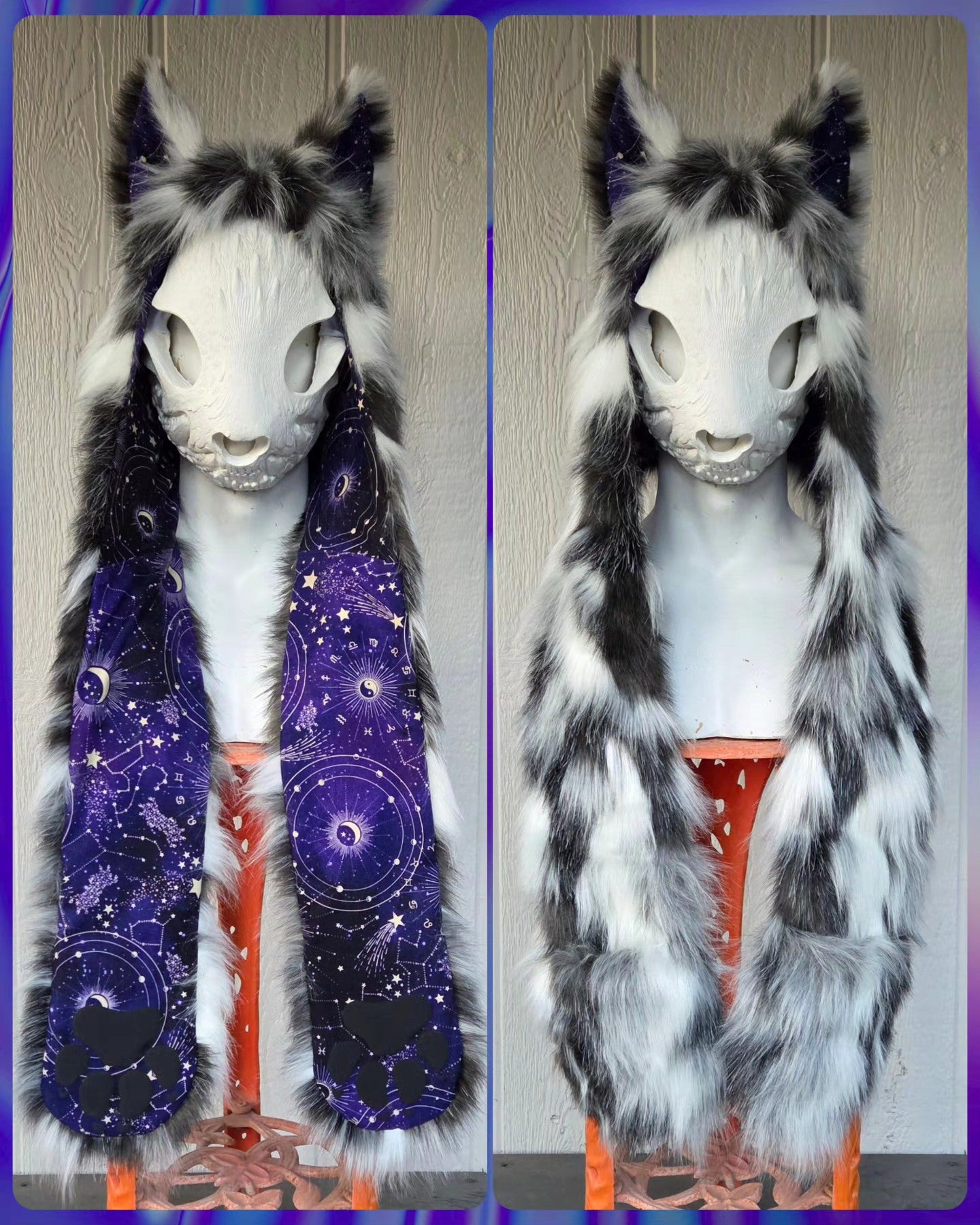 Cosmos Fox (size: small)